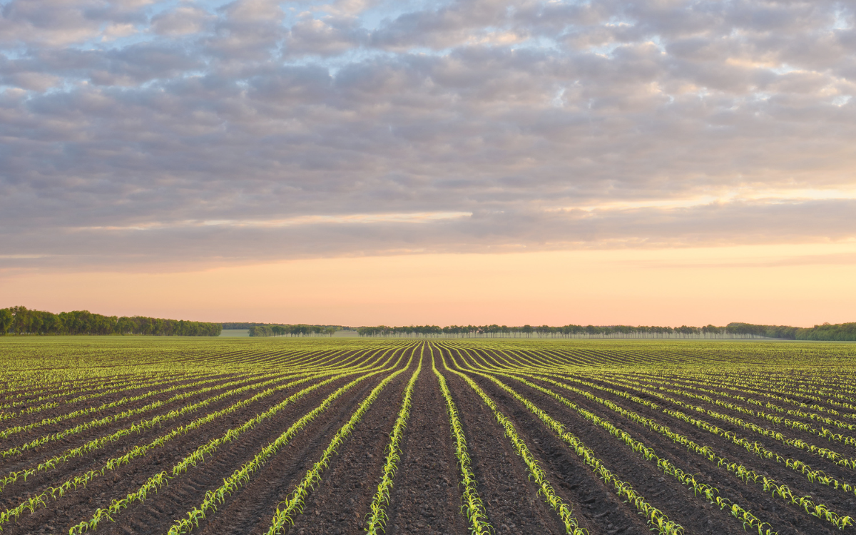 How to Prepare Your Farm or Acreage for Sale in Southeast MN